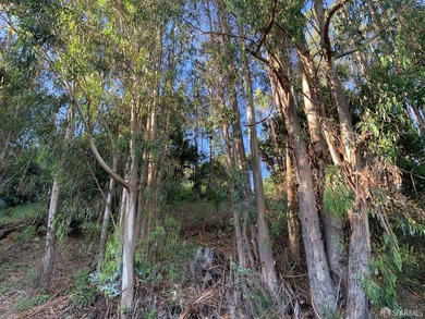 Build your dream home in the Berkeley hills! Uphill lot. No - photo 1