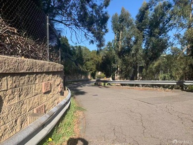 Build your dream home in the Berkeley hills! Uphill lot. No - photo 3