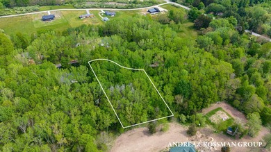 Lake Michigan - Allegan County Lot For Sale in South Haven Michigan