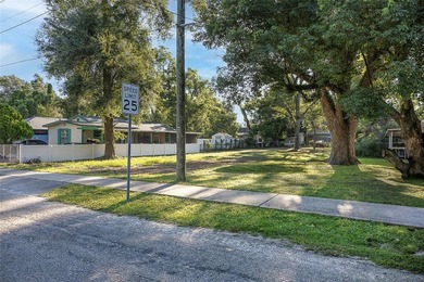 MOTIVATED SELLER! Prime Location! No HOA! This spacious, cleared - photo 3