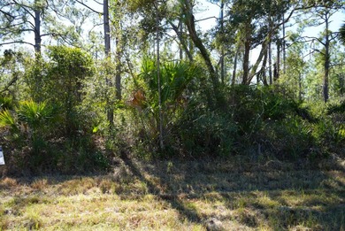 Port Charlotte Waterway Area Lot For Sale in Port Charlotte Florida