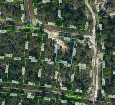 Lake Grassy Lot For Sale in Lake Placid Florida