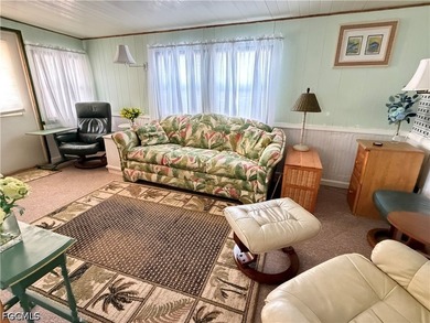 Spacious Single Wide Manufactured Home located in Carriage - photo 8
