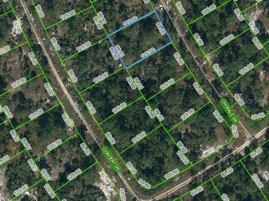 Lake Grassy Lot For Sale in Lake Placid Florida