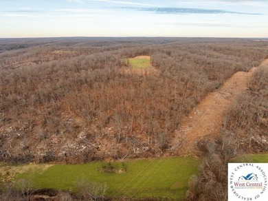 Located just east of Osceola, in the heart of St. Clair County - photo 16