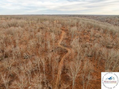 Located just east of Osceola, in the heart of St. Clair County - photo 22