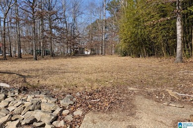 Weiss Lake opportunity in Cedar Bluff! This 2 bedroom, 1 bath - photo 24