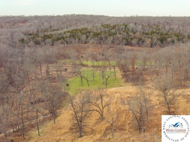 Located just east of Osceola, in the heart of St. Clair County - photo 24