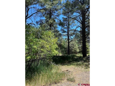 Lake Pagosa Lot For Sale in Pagosa Springs Colorado