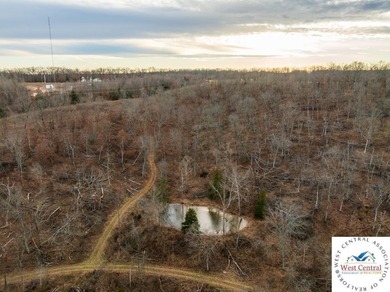 Located just east of Osceola, in the heart of St. Clair County - photo 33