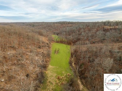 Located just east of Osceola, in the heart of St. Clair County - photo 34