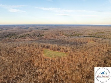 Located just east of Osceola, in the heart of St. Clair County - photo 40