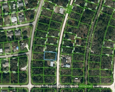 Lake Grassy Lot For Sale in Lake Placid Florida