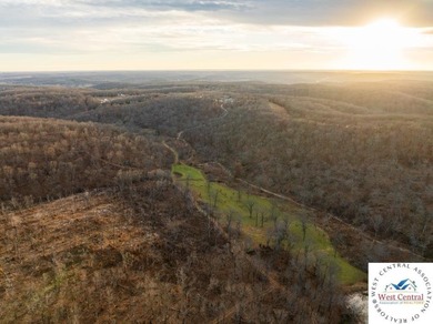 Located just east of Osceola, in the heart of St. Clair County - photo 50