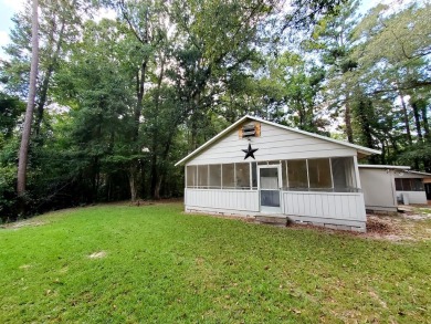(private lake, pond, creek) Home For Sale in Uvalda Georgia