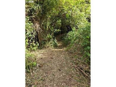 TWO 50'x100' gently sloping lots are affordably priced to sell; - photo 2