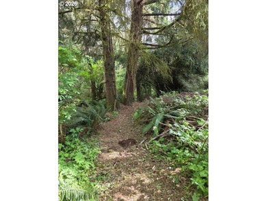 TWO 50'x100' gently sloping lots are affordably priced to sell; - photo 3