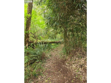 TWO 50'x100' gently sloping lots are affordably priced to sell; - photo 4