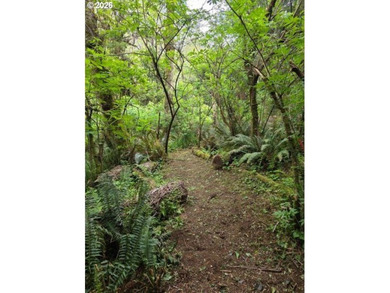 TWO 50'x100' gently sloping lots are affordably priced to sell; - photo 5