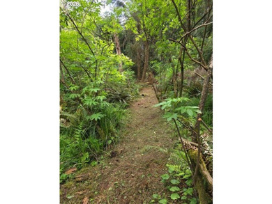 TWO 50'x100' gently sloping lots are affordably priced to sell; - photo 6
