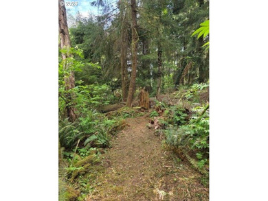 TWO 50'x100' gently sloping lots are affordably priced to sell; - photo 7