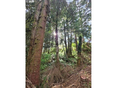 TWO 50'x100' gently sloping lots are affordably priced to sell; - photo 8