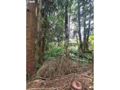 TWO 50'x100' gently sloping lots are affordably priced to sell; - photo 9
