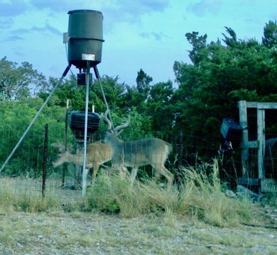 (private lake, pond, creek) Acreage For Sale in Rocksprings Texas