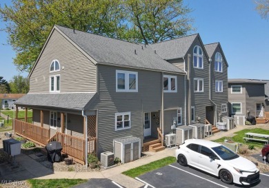Lake Condo For Sale in Vermilion, Ohio
