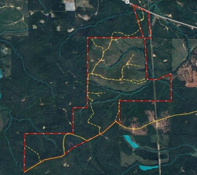 (private lake, pond, creek) Acreage For Sale in Butler Georgia