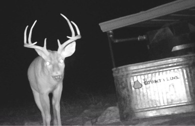 (private lake, pond, creek) Acreage For Sale in Rocksprings Texas