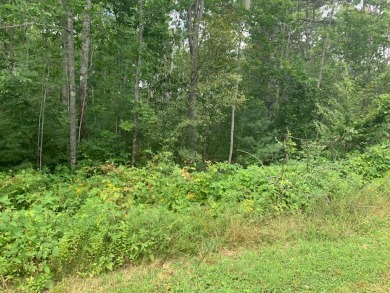 Stevens Ponds Acreage For Sale in Liberty Maine