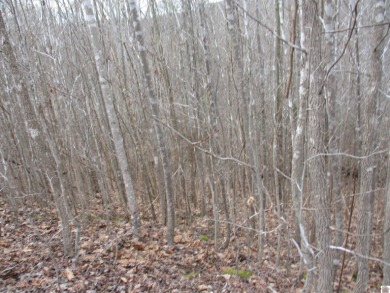 Lake Barkley Acreage For Sale in Cadiz Kentucky