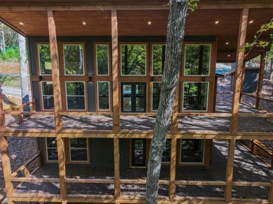 (private lake, pond, coastal) Home For Sale in Blue Ridge Georgia