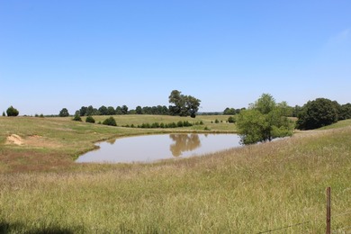 (private lake, pond, creek) Acreage For Sale in Piggott Arkansas