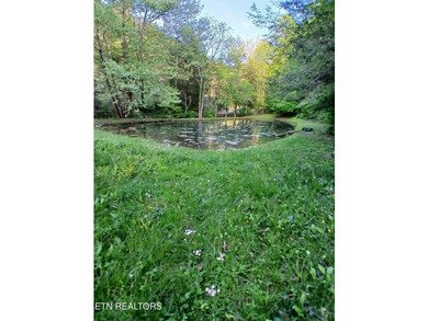 Escape to your own private mountain retreat with this - photo 47