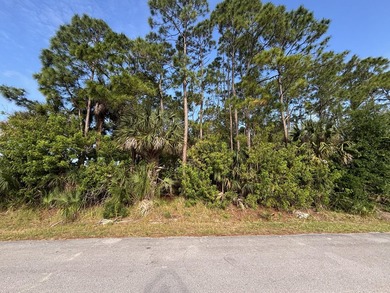 Great opportunity to own a residential vacant lot in NE Palm - photo 1