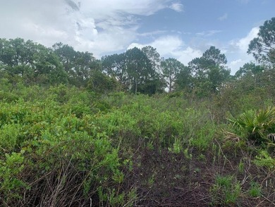 High and Dry in Sebring FL! Make this building lot your own up - photo 1