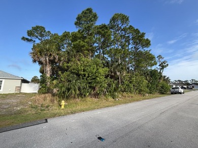 Great opportunity to own a residential vacant lot in NE Palm - photo 2