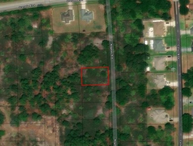 High and Dry in Sebring FL! Make this building lot your own up - photo 2