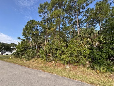 Great opportunity to own a residential vacant lot in NE Palm - photo 3