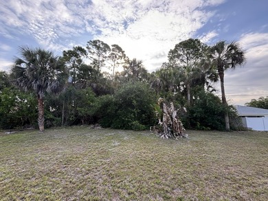Great opportunity to own a residential vacant lot in NE Palm - photo 4