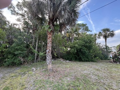 Great opportunity to own a residential vacant lot in NE Palm - photo 5