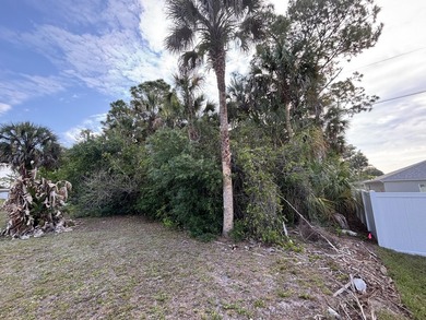 Great opportunity to own a residential vacant lot in NE Palm - photo 6