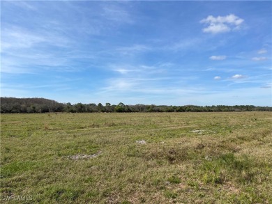 (private lake, pond, creek) Acreage For Sale in Labelle Florida