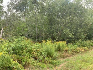 Stevens Ponds Acreage For Sale in Liberty Maine
