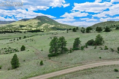 (private lake, pond, creek) Acreage For Sale in Guffey Colorado