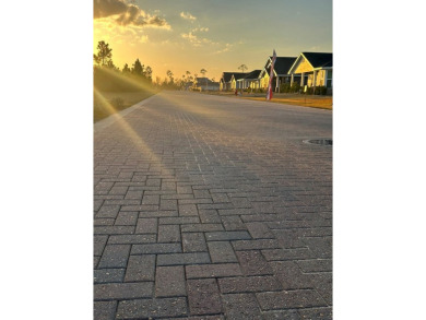 Subject offering consists of 182 undeveloped lots within the - photo 6
