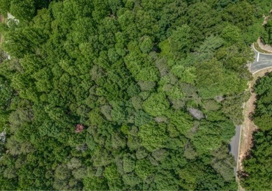 Beautiful 1.30-acre lot located in The Orchard - one of North - photo 3