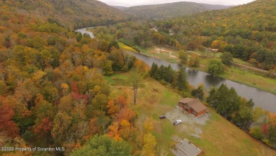 Delaware River - Wayne County Home For Sale in Equinunk Pennsylvania